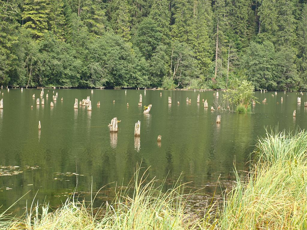 Erdély_2008_169.jpg - a Gyilkostó.