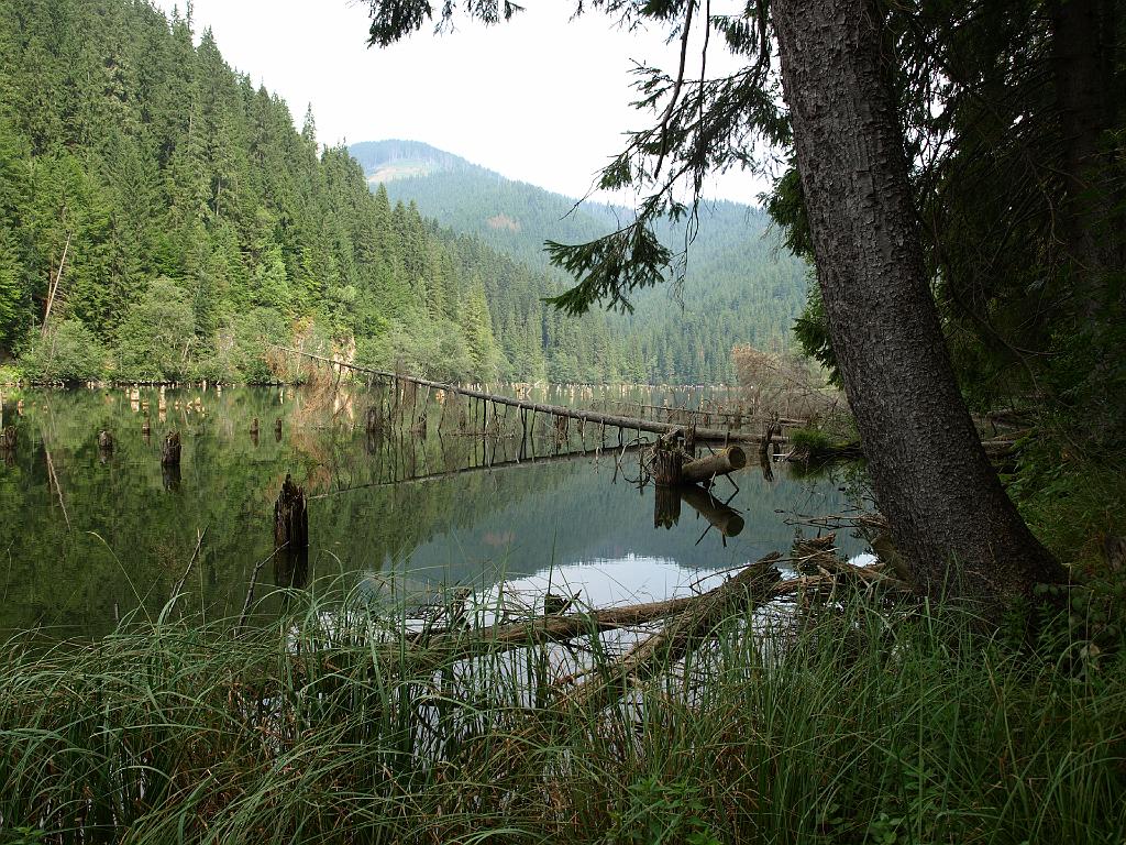 Erdély_2008_174.jpg - a Gyilkostó.