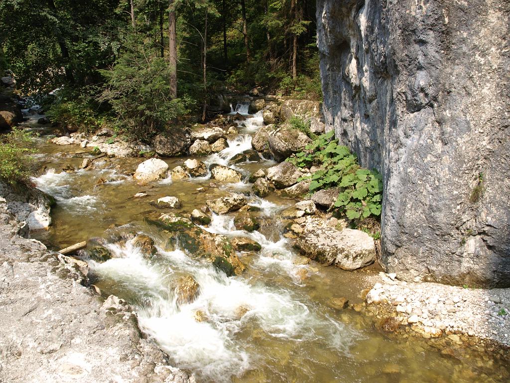 Erdély_2008_188.jpg - a Békás patak.