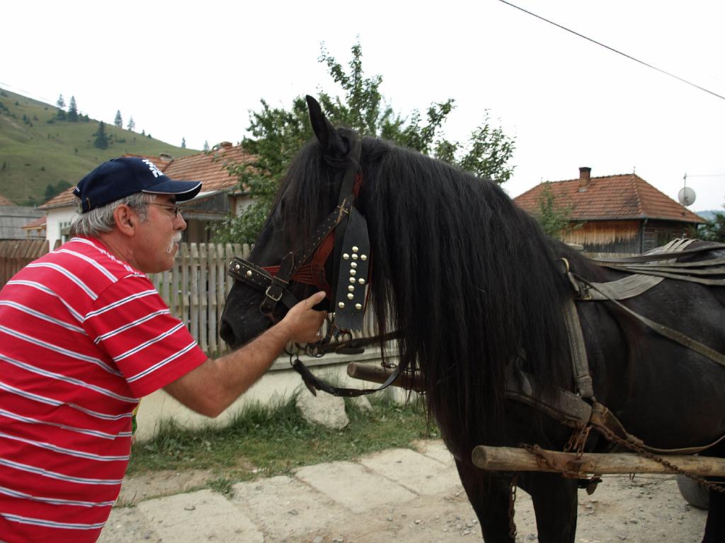 Erdély_2008_207.jpg - Jani a lovat kábítja.