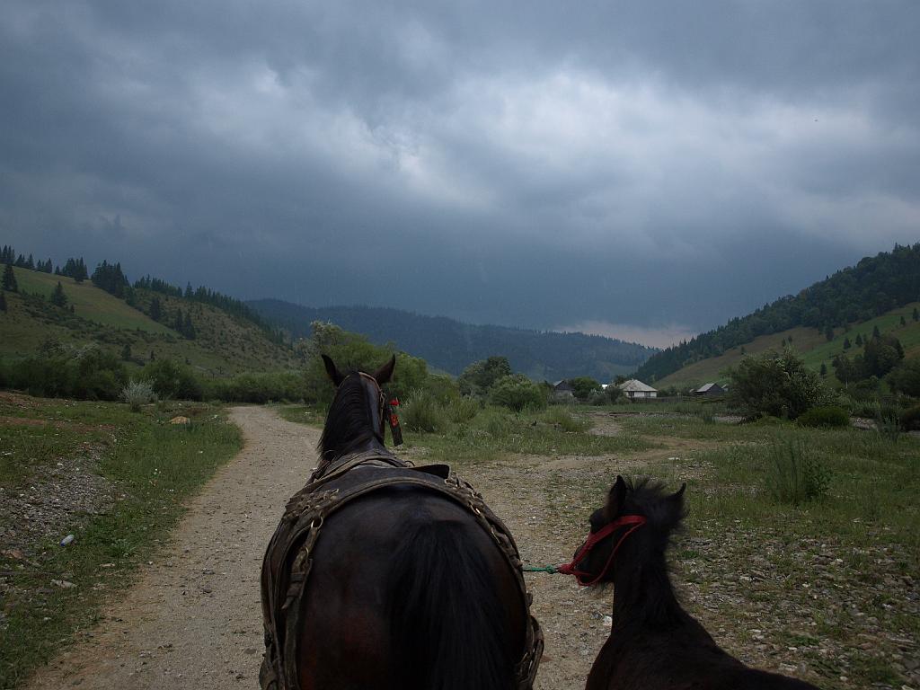 Erdély_2008_210.jpg - egyre sötétebb lett.