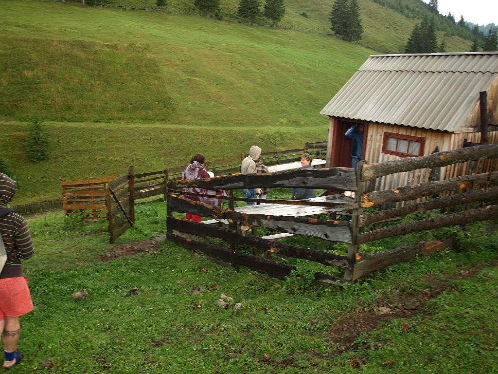 Erdély_2008_218.jpg - az esztena.