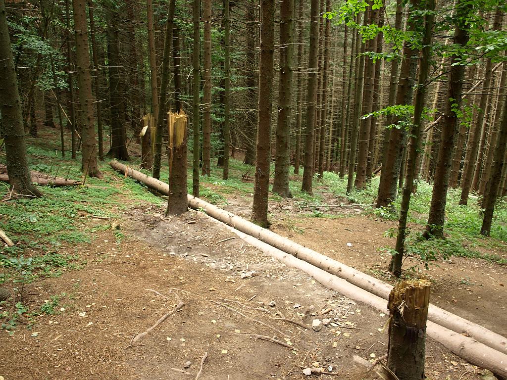 Erdély_2008_239.jpg - ezek meg eltörtek!