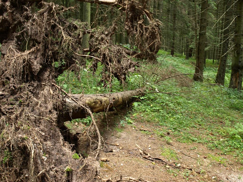 Erdély_2008_243.jpg - ez meg oldalról.