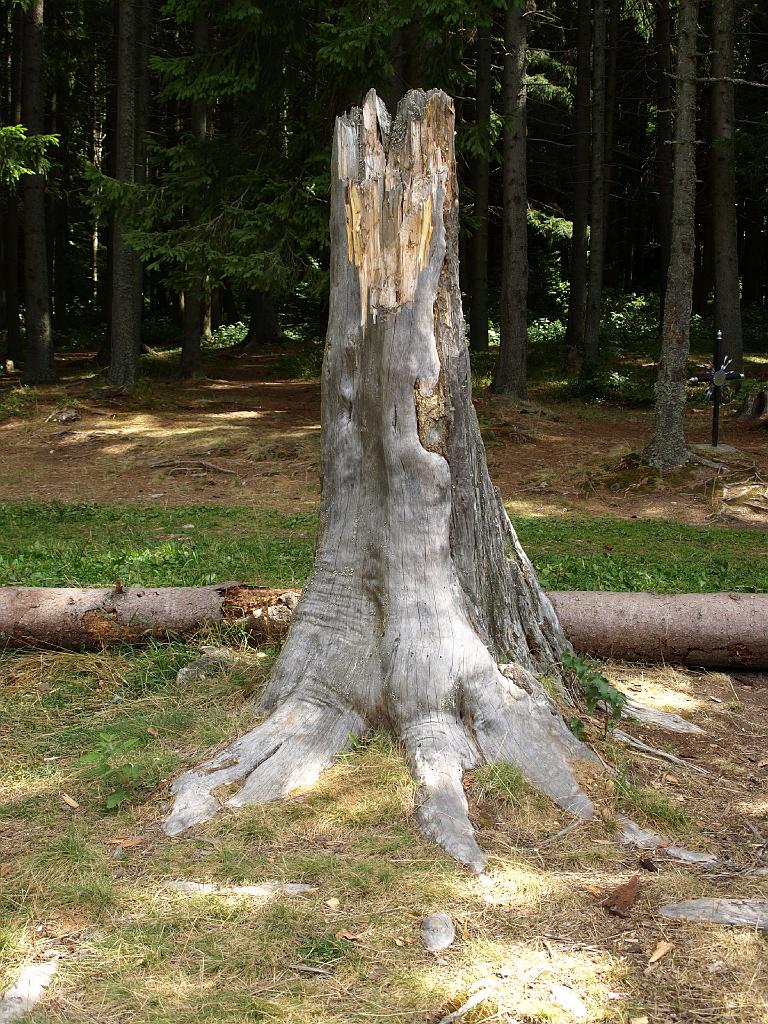 Erdély_2008_250.jpg - torzó.