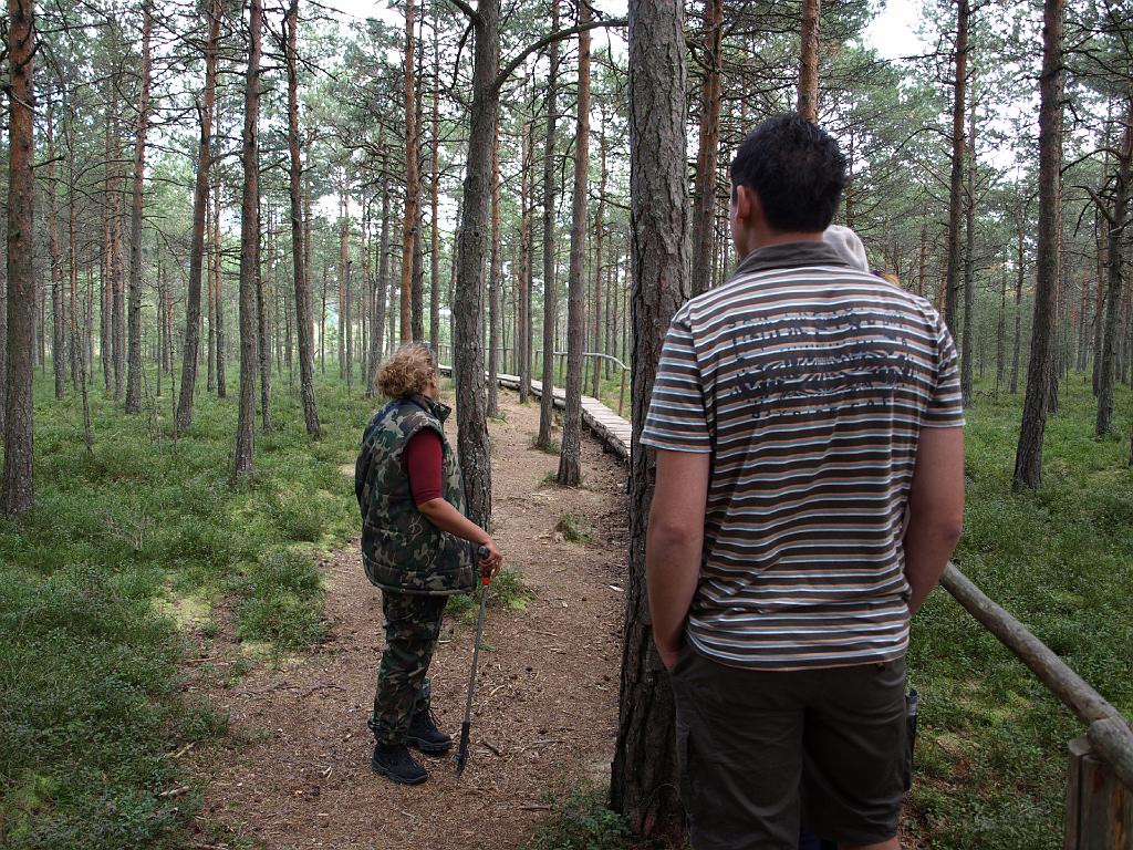 Erdély_2008_261.jpg - a láp.