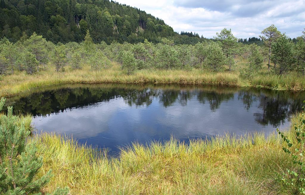 Erdély_2008_264.jpg - tószem.
