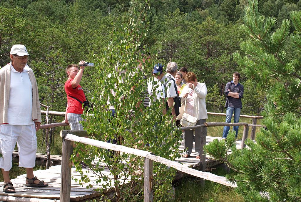 Erdély_2008_266.jpg - a lápon.