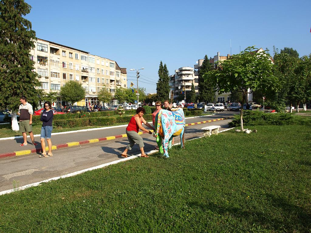 Erdély_2008_343.jpg - Bradban elszabadultak a tehenek.