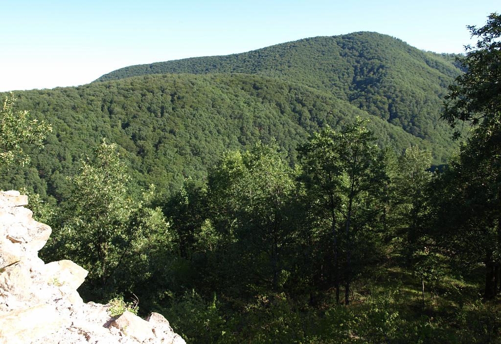 p7240847.jpg - látkép a várból.