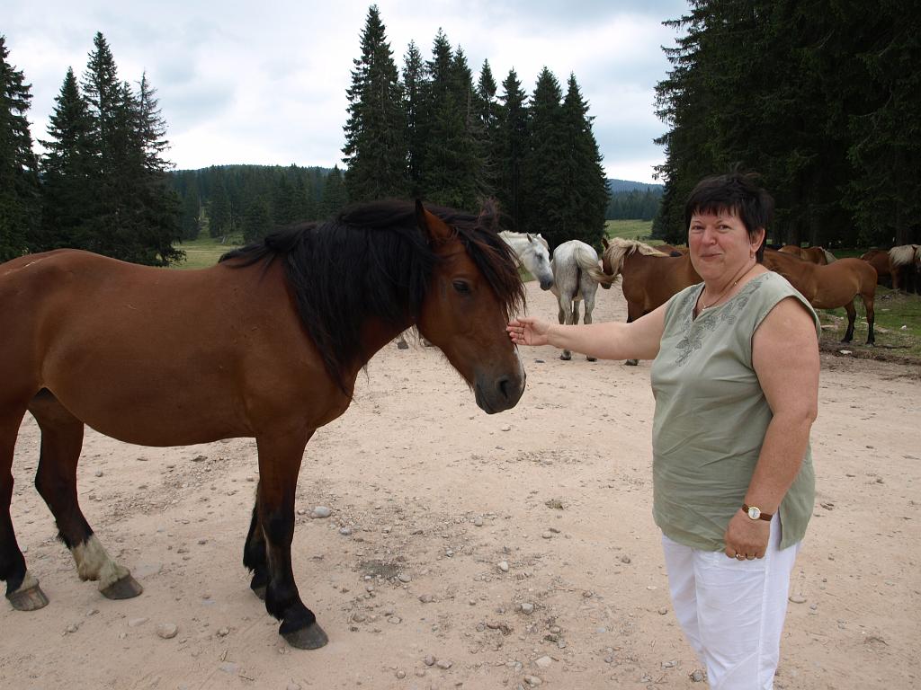 p7250986.jpg - Sári próbál barátkozni az egyikkel.