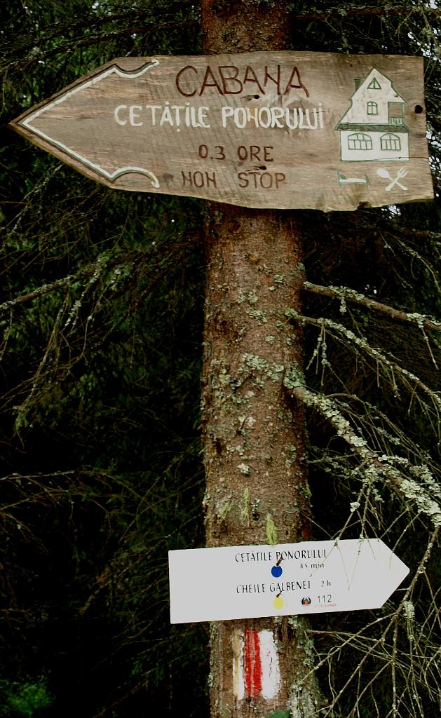 p7251097.jpg - már tudjuk is, merre kell menni.