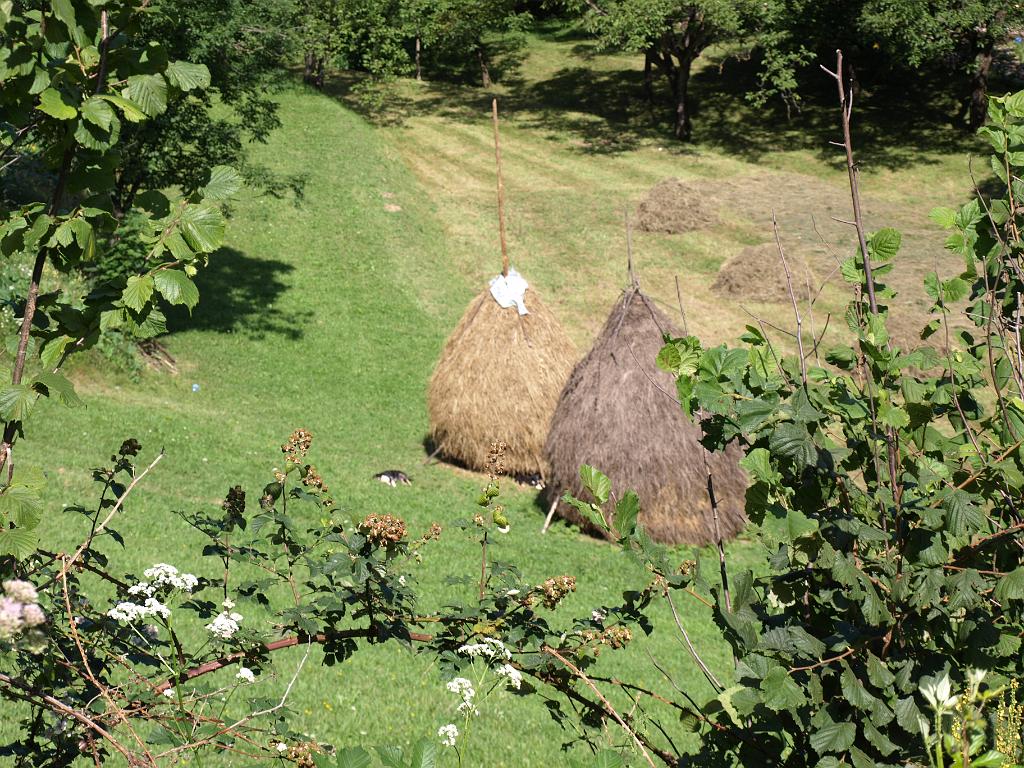 p7261250.jpg - szénaboglyák.