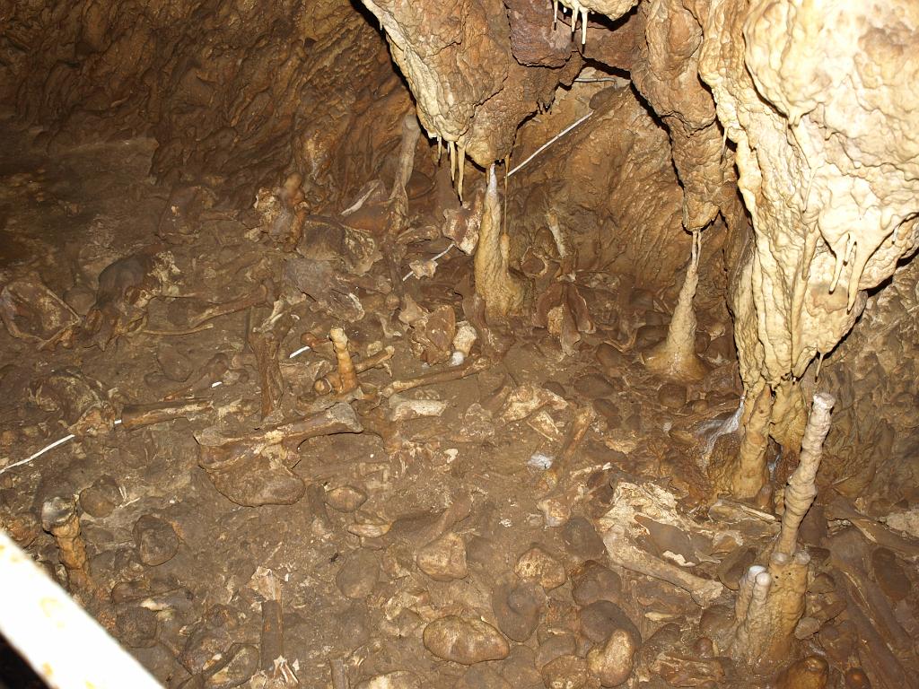 p7261268.jpg - az első csonttöredékek...