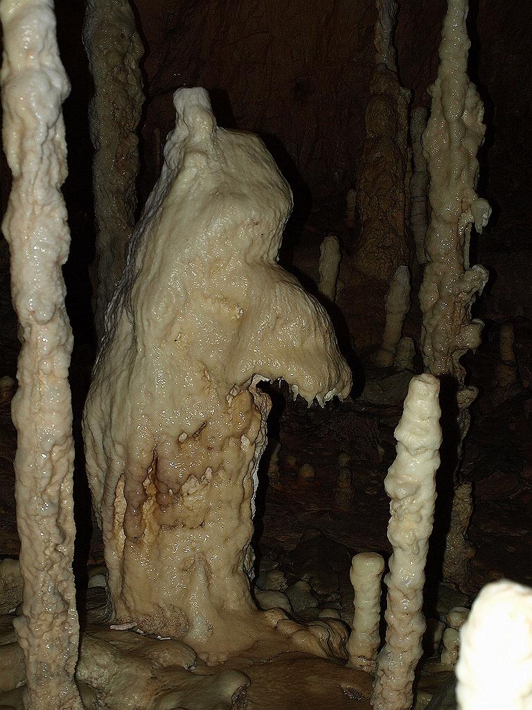 p7261360.jpg - cseppkövek a barlangban.