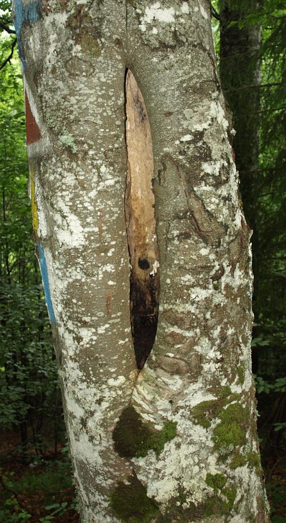 p7261444.jpg - na ezt nem merem leírni!