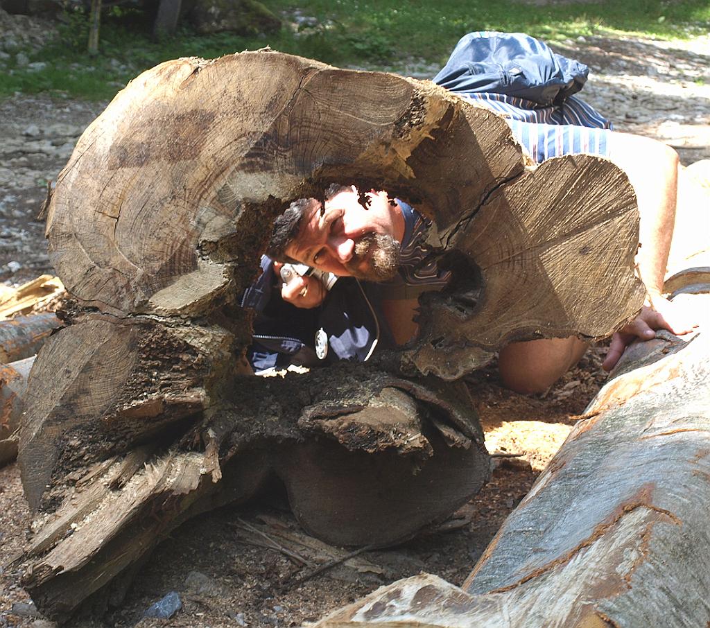 p7271646.jpg - Géza betekintést nyert a fába.