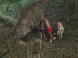img028.jpeg.small.jpeg