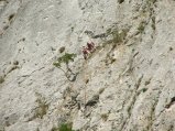 img038.jpeg.small.jpeg