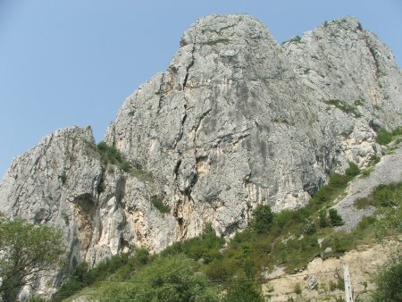 img067.jpeg.medium.jpeg