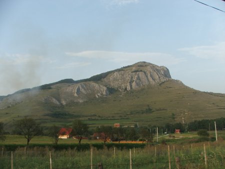 img087.jpeg.medium.jpeg