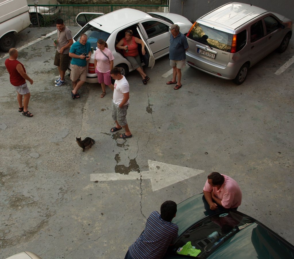 116.JPG - Az őrmacska ügyel a rendre!